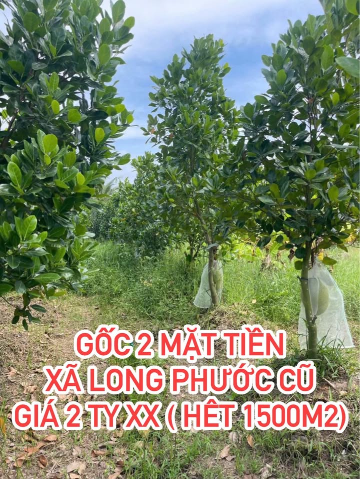 Đất nền Long Phước Vĩnh Long 1500m² giá 2 tỷ - Đầu tư sinh lời cao!