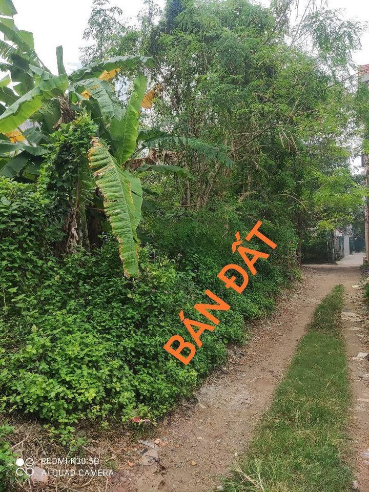 Đất nền Ngọc Thụy 200m² giá 5.3 tỷ - Đầu tư sinh lời ngay!