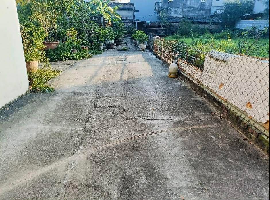 Đất nền Dương Quang, Gia Lâm 50m² giá 3x tỷ - Sổ đỏ đẹp, ô tô vào tận nơi!