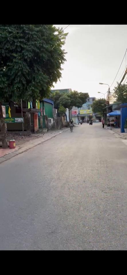 Đất nền kinh doanh tại ngõ 295 Tô Hiến Thành, 50m² chỉ 1.3 tỷ - Cơ hội đầu tư hấp dẫn!