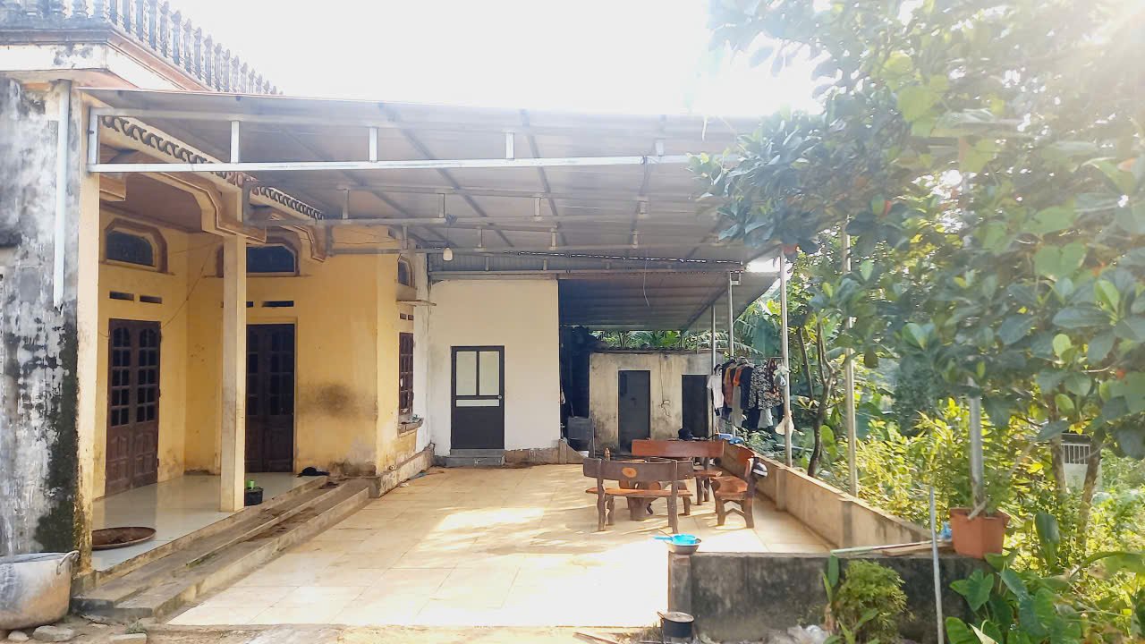 Đất phân lô 1451m² Tản Lĩnh, Ba Vì - Đầu tư sinh lời tiềm năng!