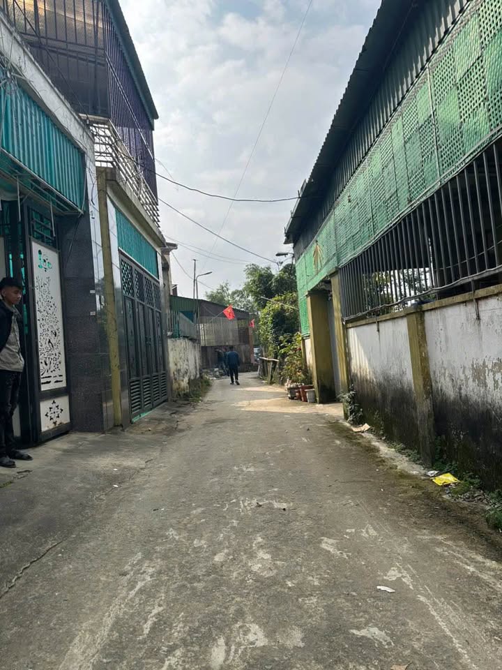 Nhà cấp 4 phường Cửa Nam 91m² giá 2 tỷ - Thiết kế hiện đại, sẵn sàng vào ở!