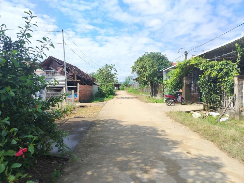 Đất vườn Bình Minh - Bình Sơn 1350m² giá chỉ 1 tỷ - Cơ hội đầu tư tuyệt vời!