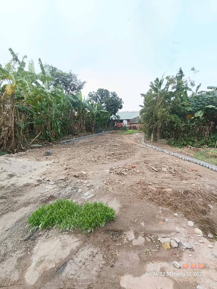 Đất thổ cư Quỳnh Ngọc, Quỳnh Hồng 156m² giá 900 triệu - Đầu tư sinh lời ngay!