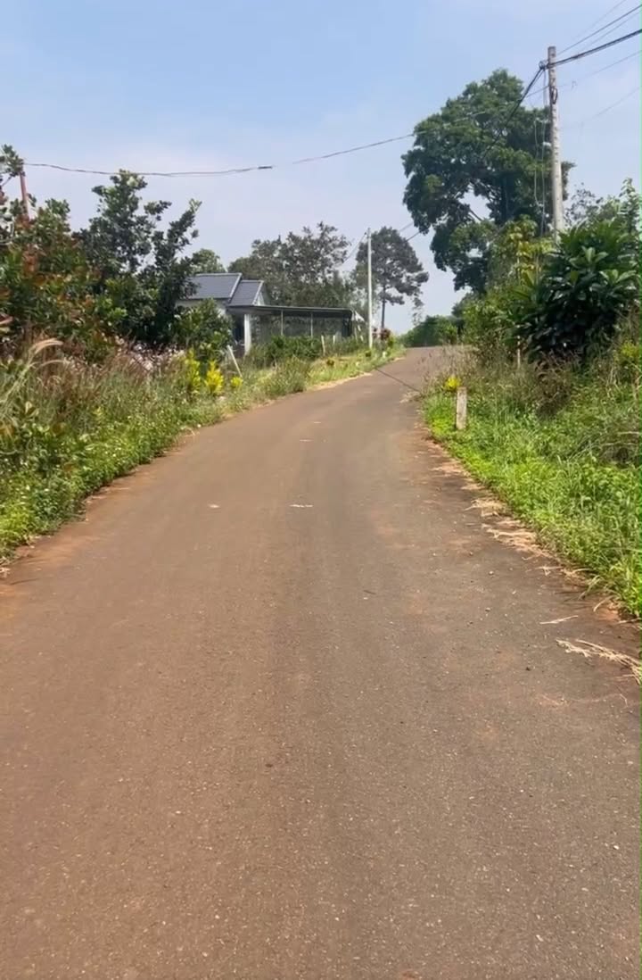 Đất nền Bàu Chinh, Châu Đức, 400m² - Đầu tư sinh lời ngay!