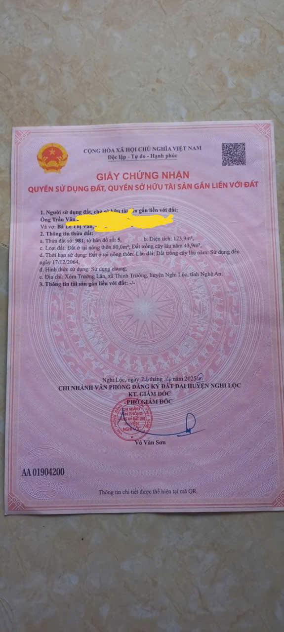 Đất Nghi Trường 123m² giá 700 triệu - Đầu tư sinh lời lý tưởng!