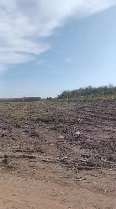 Đất nền Ấp Hội Thành, Xã Tân Hội, Tây Ninh 240.000m² - Gần điện 3 pha, ô tô vào tận nơi!