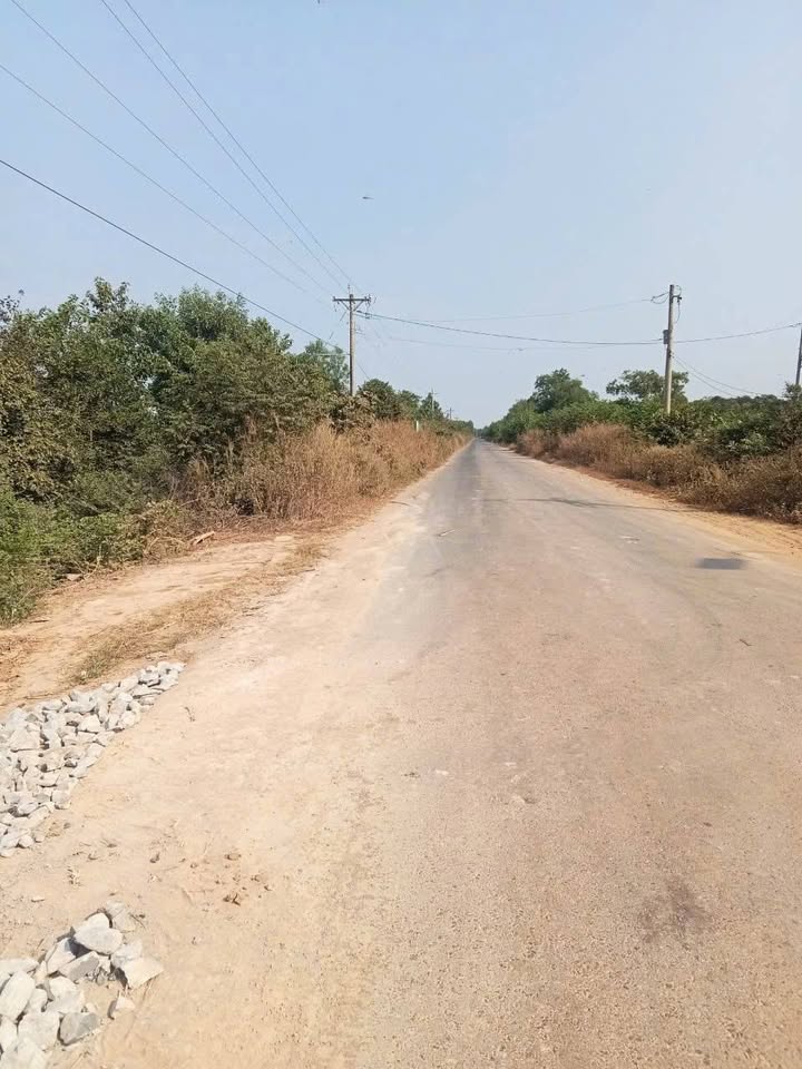 Farm Ninh Điền Châu Thành 10ha giá 14.35 tỷ - Cơ hội đầu tư lý tưởng!