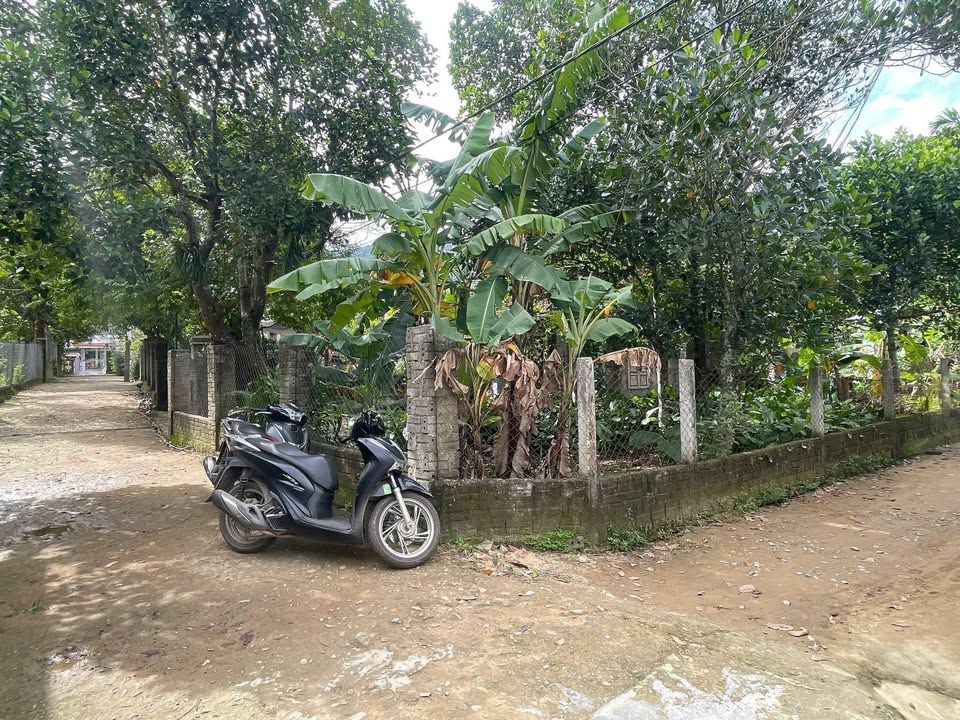 Đất vườn Hòa Bắc 340m² giá 2 tỷ - Đầu tư lý tưởng gần trường học!