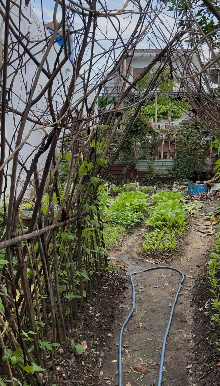 Lô đất kiệt ô tô Nguyễn Nhàn, Hoà Thọ Đông, Cẩm Lệ, Đà Nẵng 85m² - Cơ hội đầu tư hiếm có!