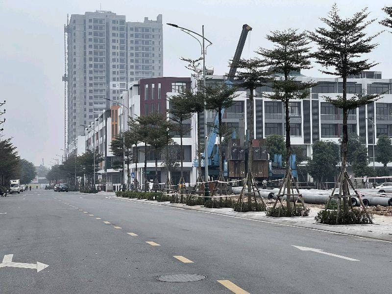 Đất Thượng Thanh, Long Biên 30m² giá 1.99 tỷ - Chính chủ bán, ô tô đỗ cửa!