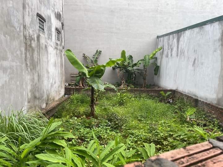 Đất Tư Đình Long Biên 55m² giá 3.95 tỷ - Mặt tiền rộng, gần ô tô!