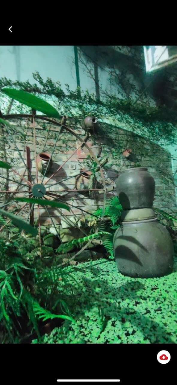 Biệt thự sân vườn Ngọc Thụy 126m² giá 12.55 tỷ - Ô tô vào tận nơi!