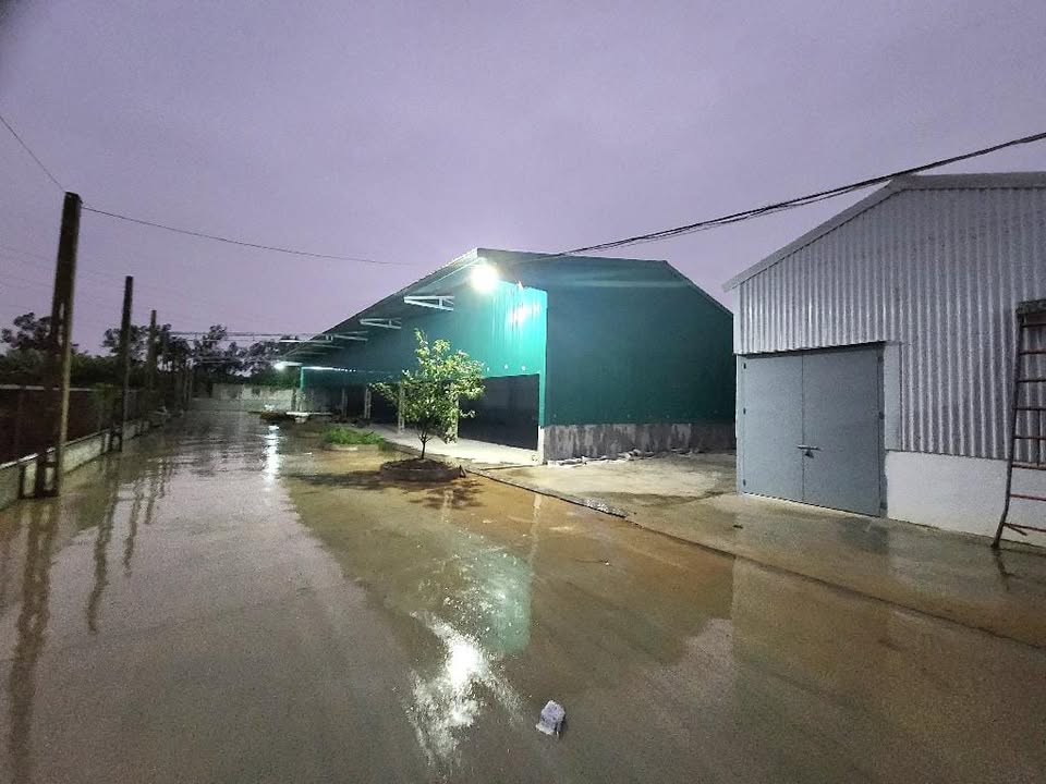 Nhà Xưởng 4500m² tại Phú Thị, Gia Lâm - Đầu tư sinh lời ngay!