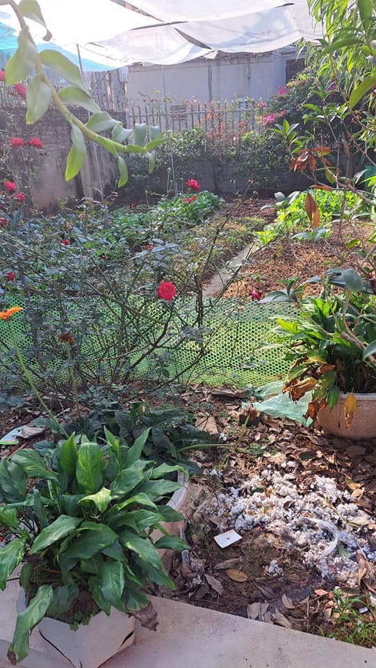 Đất Kiêu Kỵ, Gia Lâm 108m² giá thỏa thuận - Lô góc, ô tô vào tận nơi!