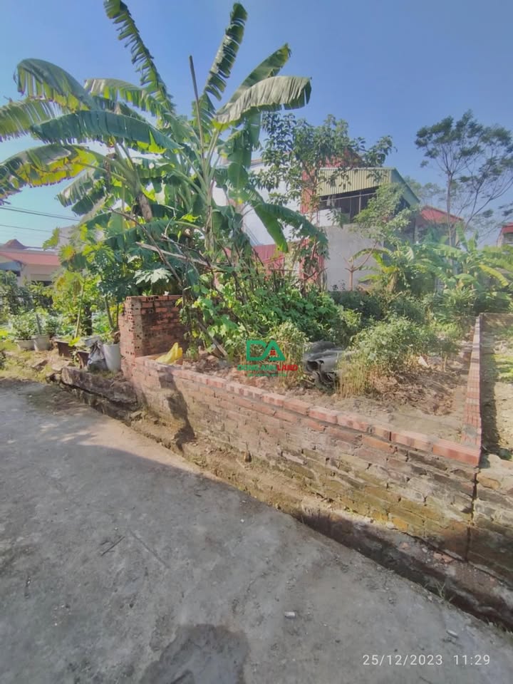 Đất thổ cư thôn Đường Yên xã Xuân Nộn 45.5m² giá 1 tỷ - Ô tô đỗ cửa, chính chủ!