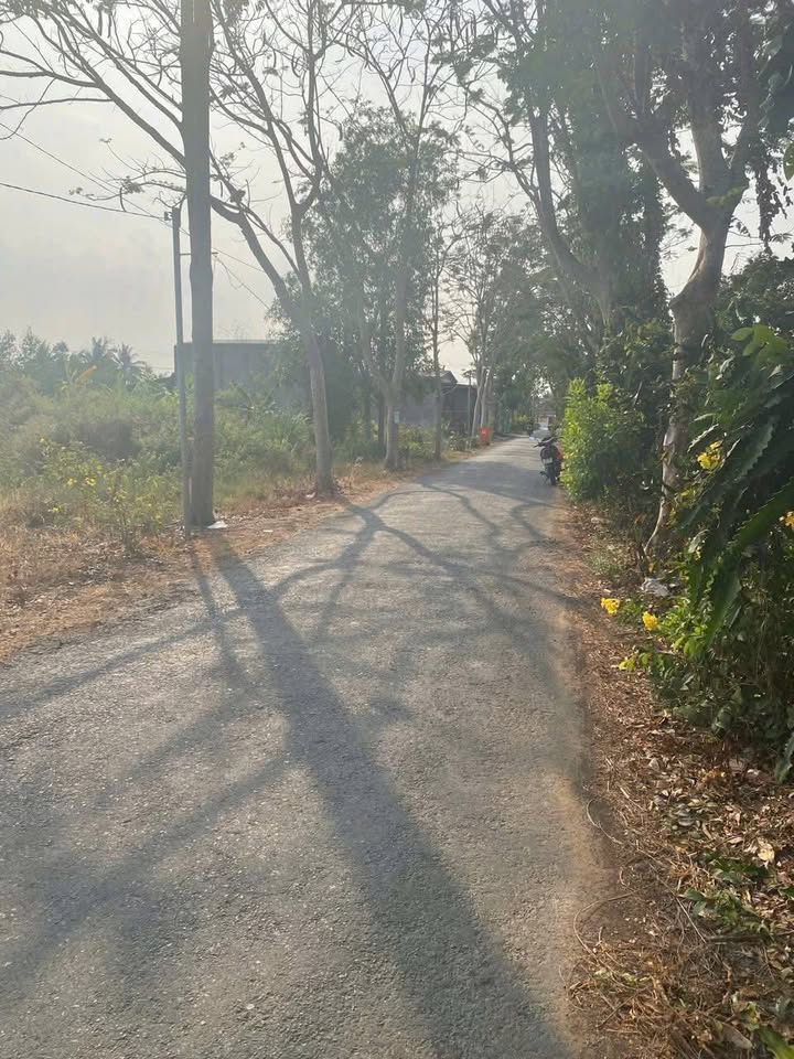 Đất nền mặt tiền ĐH33B, xã Nhơn Phú, huyện Mang Thít, 3486m² - Đầu tư sinh lời hấp dẫn!