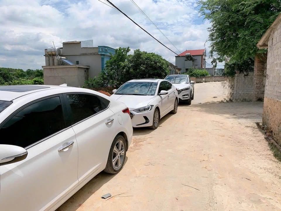 Đất nền 100m² tại Lan Mẫu, Lục Nam - Đầu tư sinh lời, giá chỉ 8xx triệu!