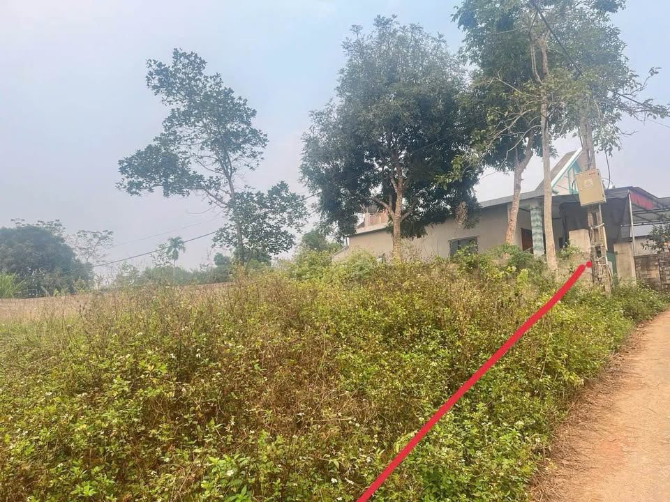 Đất liền kề Huống Thượng, phường Linh Sơn 302m² - Đầu tư sinh lời ngay!