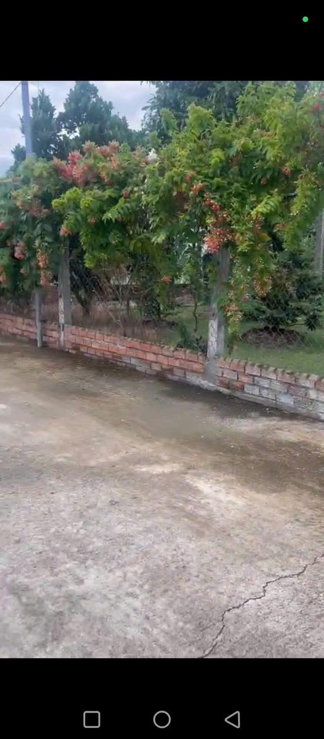 Đất thổ cư 150m² + đất lúa 400m² tại Bình Quới, Long An - Giá chỉ 870 triệu