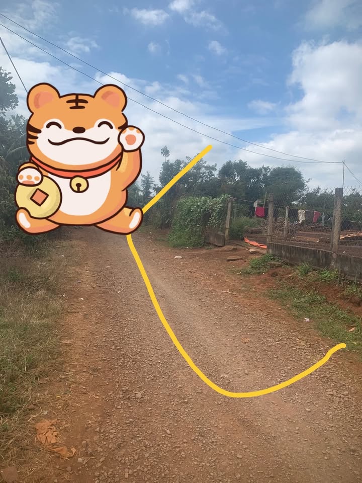 Đất nền Cư M'gar Đắk Lắk 468m² giá 5.56 tỷ - Khu dân cư đông đúc!