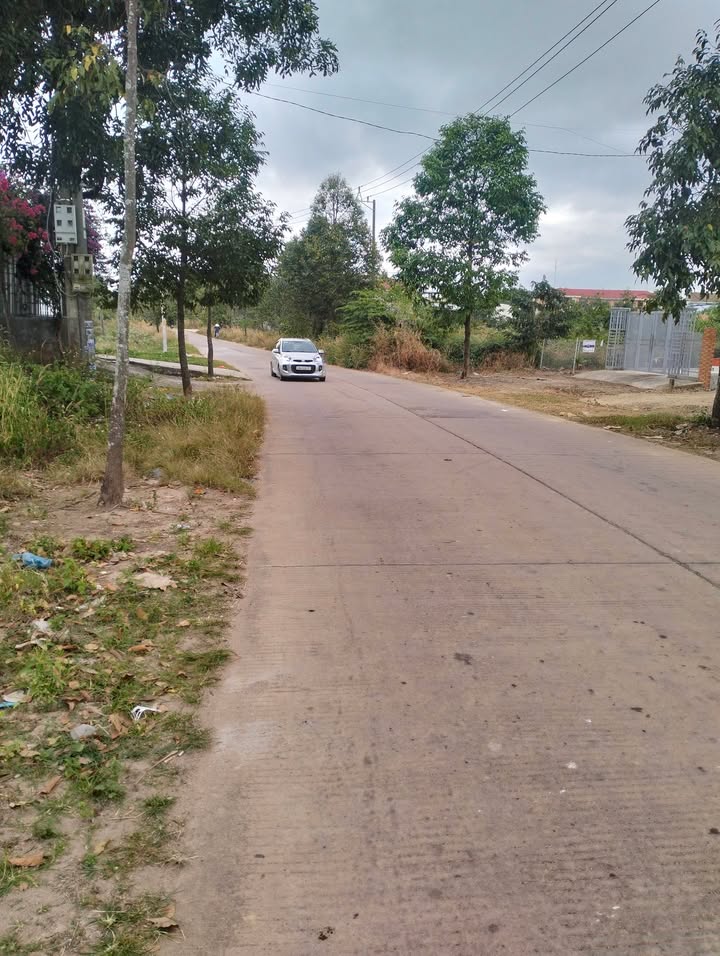 Đất nền 320m² tại đường Lê Hồng Phong, Cư Jút - Giá chỉ 1.8 tỷ, thương lượng nhẹ!