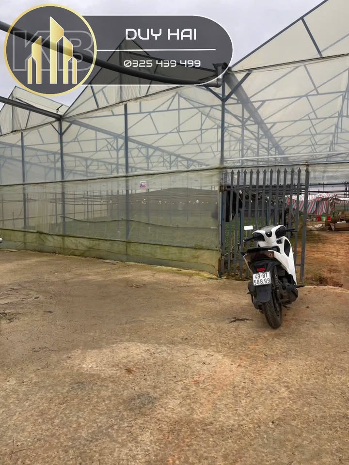 Đất nông nghiệp Phường 7 Đà Lạt 90m² giá 800 triệu - Cơ hội đầu tư hấp dẫn!