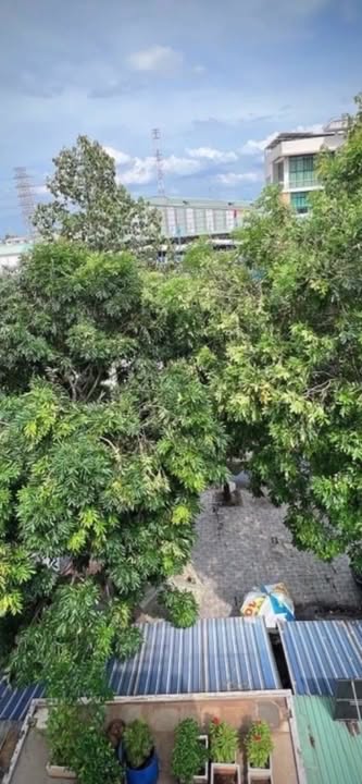 Nhà phố kinh doanh Cát Lái Q2 123m² giá 17 tỷ - Đầu tư sinh lời ngay!