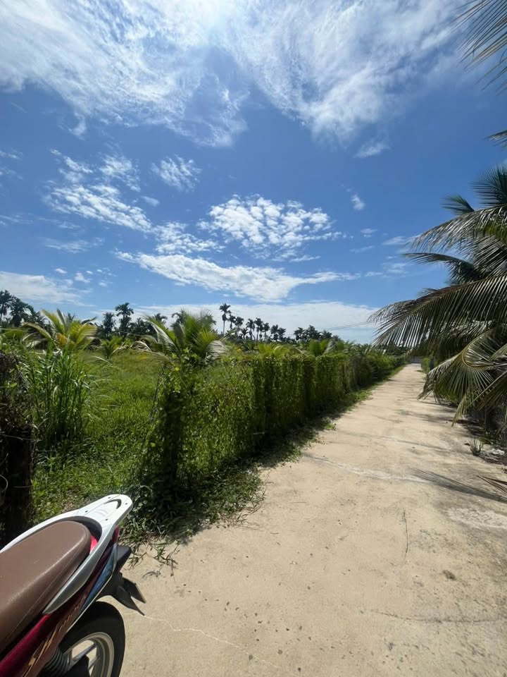 Đất nền 3000m² tại ấp Đăng Phong, Chợ Gạo - Giá chỉ 5.1 tỷ, đầu tư sinh lời!