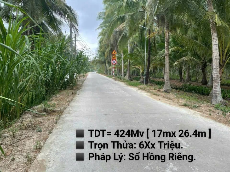 Đất nền An Thới, Mỏ Cày Nam 424m² giá 600 triệu - Sổ hồng riêng, pháp lý đầy đủ!