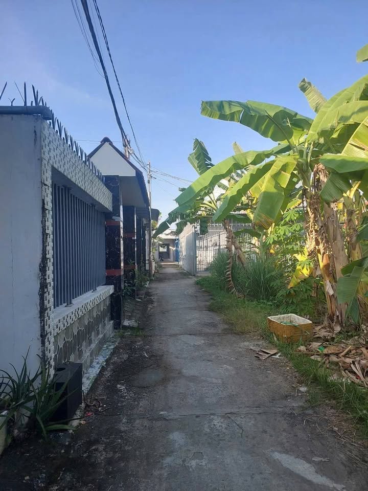 Đất ở Phường 7 Bến Tre 200m² giá 1.1 tỷ - Đường ô tô dễ dàng tiếp cận!