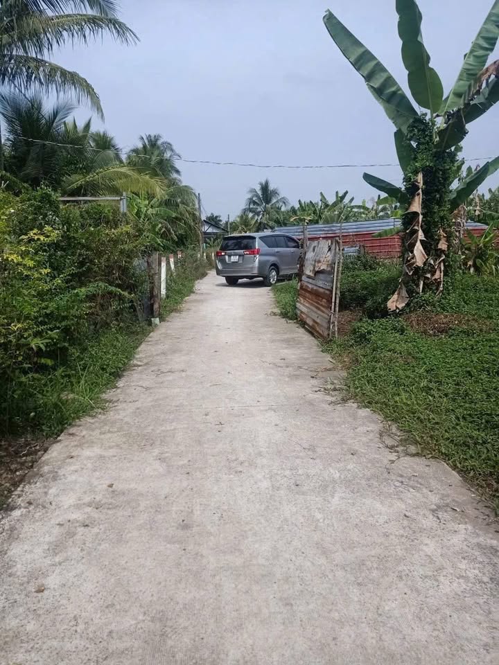 Đất mặt tiền đường An Phước, Châu Thành, Bến Tre 501m² giá 1.05 tỷ - Tiềm năng đầu tư phòng trọ!