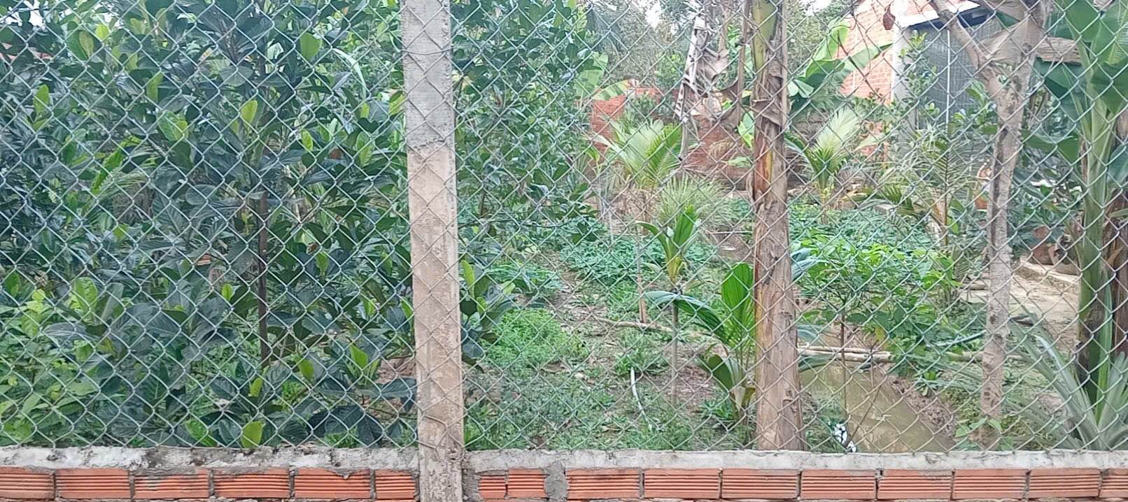 Đất nền Phú Túc 432m² giá 900 triệu - Đầu tư sinh lời ngay!