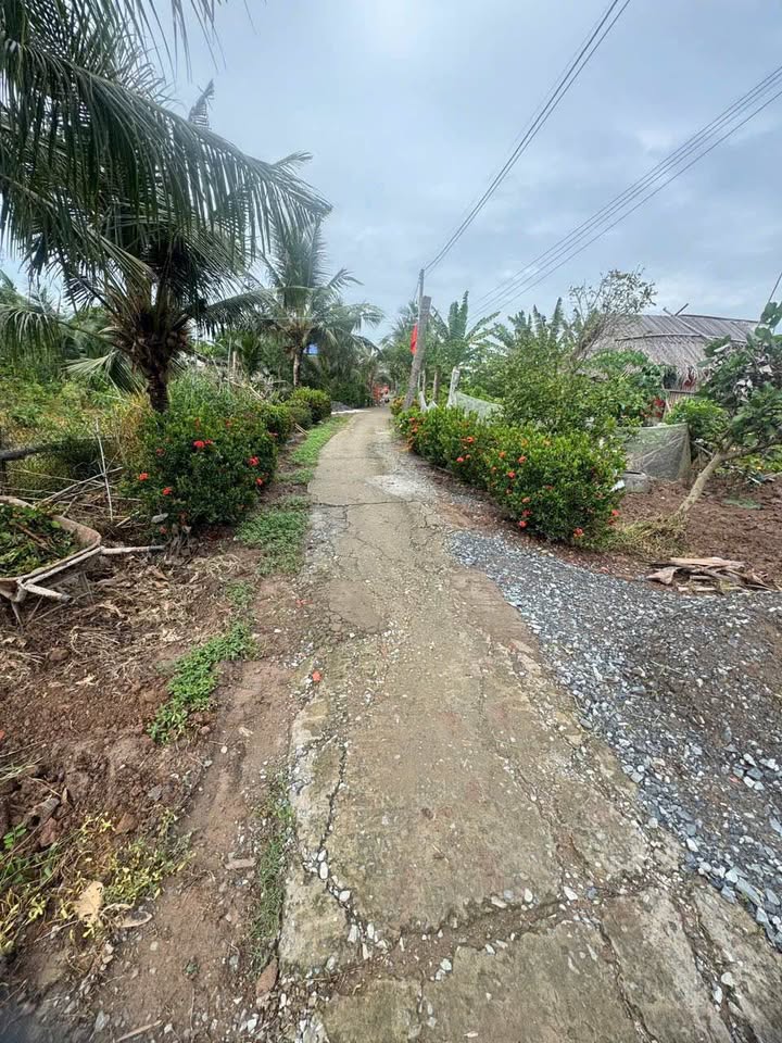 Lô đất vườn Tân Phú Đông 1.500m² giá chỉ 340 triệu - Cơ hội đầu tư tuyệt vời!