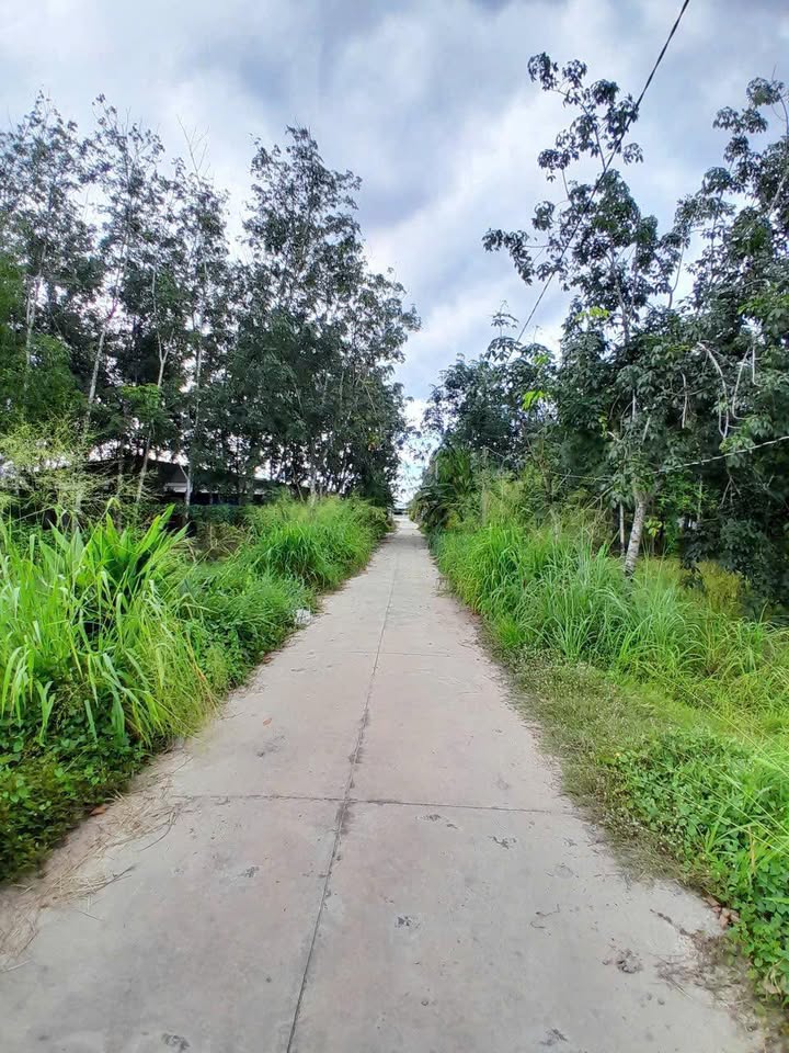 Đất nền phường Ninh Thạnh, Tây Ninh 544m² - Giá thỏa thuận, ngân hàng hỗ trợ vay 300 triệu!