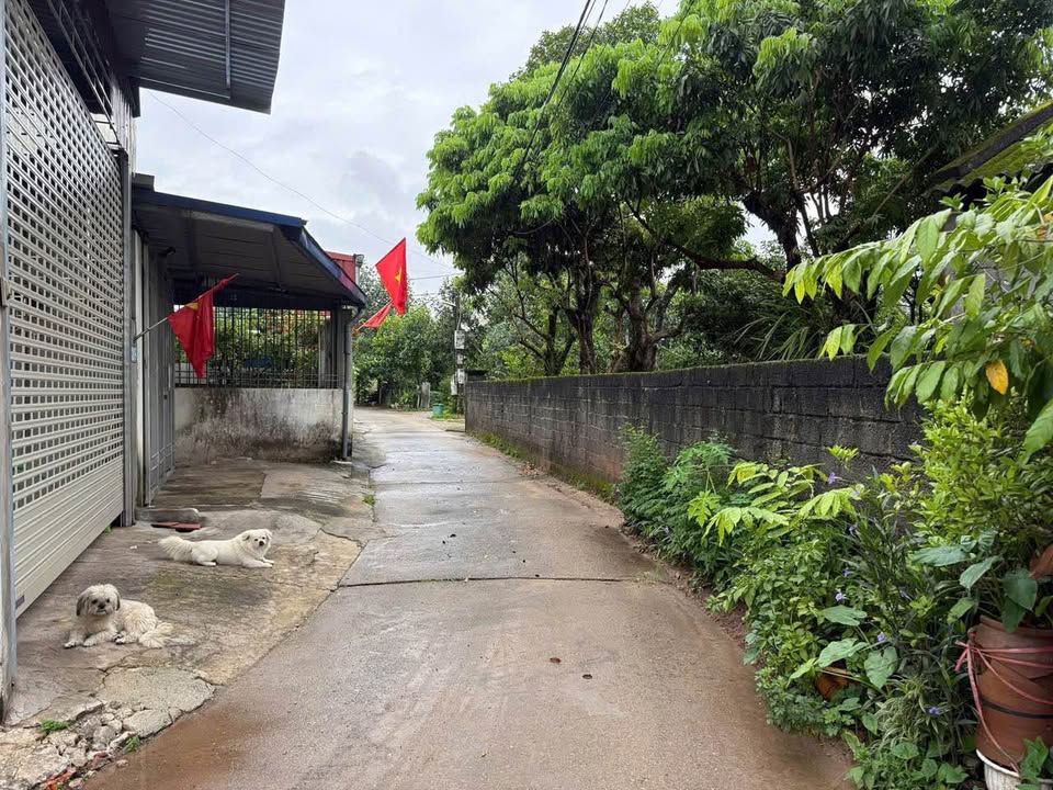 Bán đất thổ cư Tân Lập Thái Nguyên 834m² - Vị trí hiếm có, giá cực tốt!