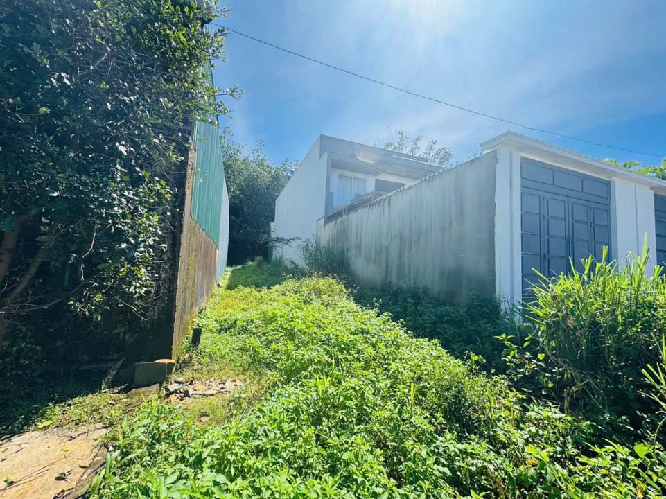 Đất mặt tiền Nguyễn Thiếp, phường Diên Hồng, Gia Lai - 170m² chỉ 2.1 tỷ - Sẵn sàng xây dựng!