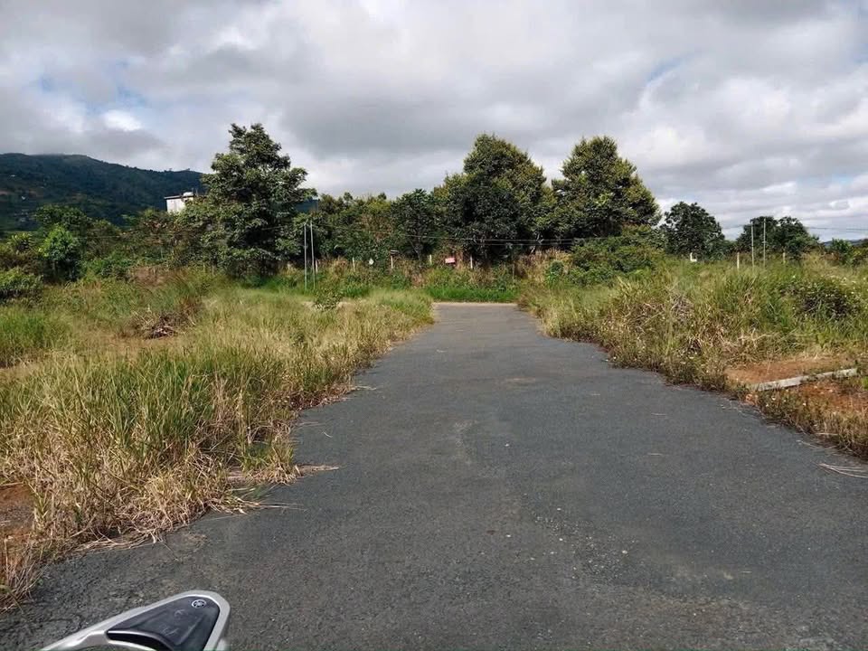 Đất nền Lộc Thanh Bảo Lâm 50.000m² giá 6 tỷ - Mặt tiền đường nhựa thuận lợi!