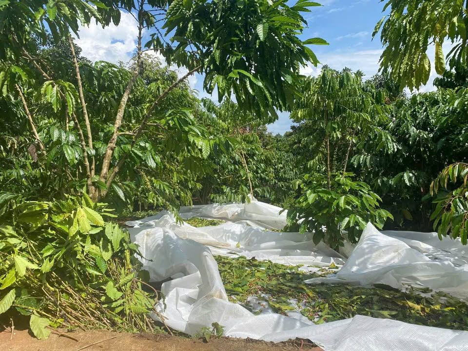 Đất Lộc Nga Bảo Lộc 1500m² giá 2.2 tỷ - Tiềm năng phát triển lớn!