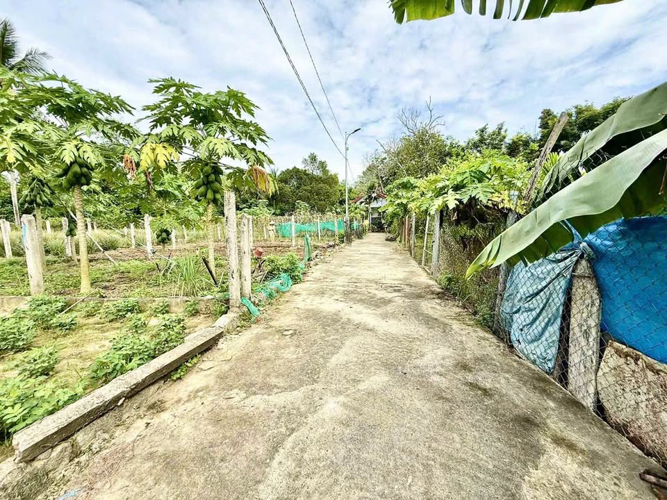 Lô đất thổ cư Diên Lạc, Diên Khánh 121,7m² giá 890 triệu - Vị trí đắc địa, tiện ích đầy đủ!