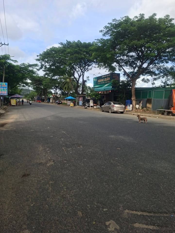 Đất nền chính chủ Nha Trang 125m² giá 850 triệu - Hạ giá sốc, chốt ngay!