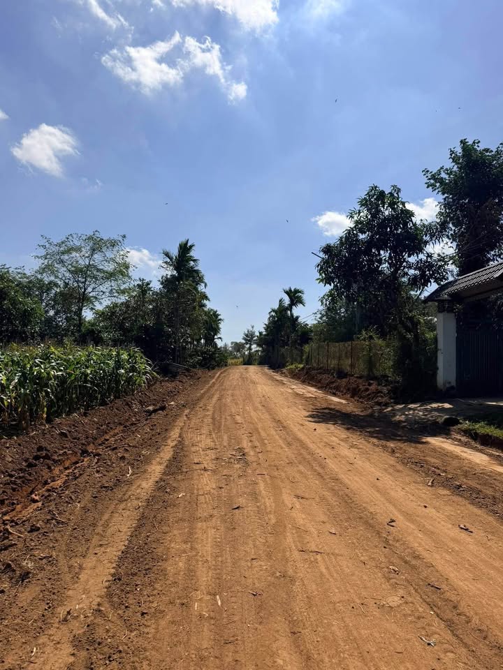 Đất nền thôn 11 Ea Tiêu 173m² giá 395 triệu - Đường thông, tiện ích đầy đủ!