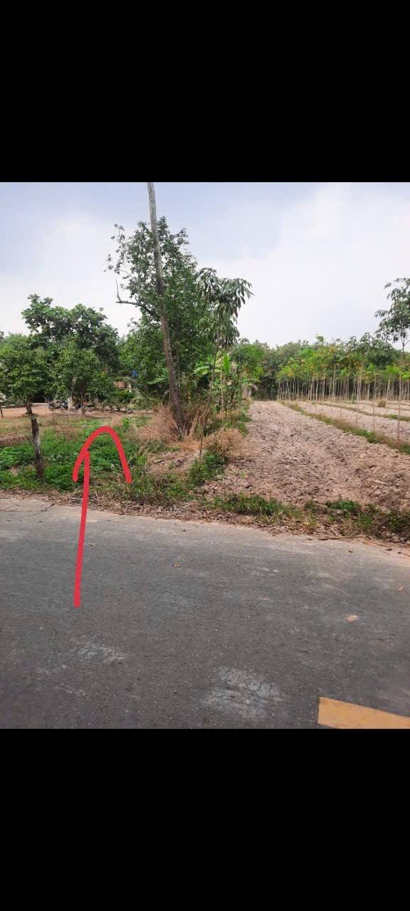 Đất nền Long Nguyên 252m² giá 1.1 tỷ - Sổ đỏ chính chủ, đầu tư sinh lời!