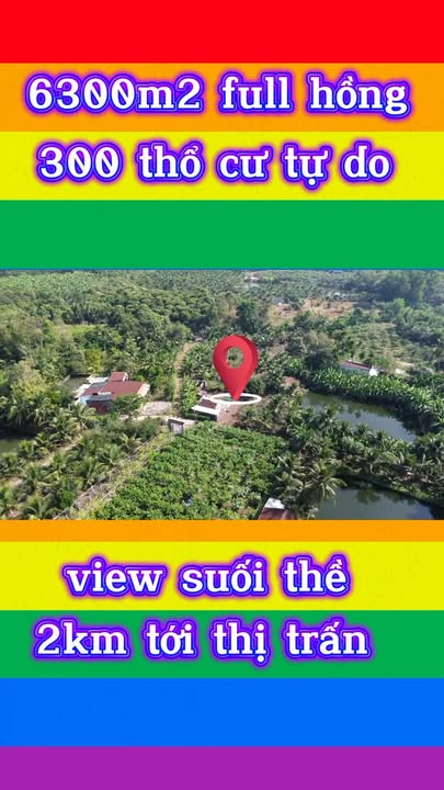 Đất Farm nghỉ dưỡng tại Sông Ray, Cẩm Mỹ 6300m² - Mặt tiền đẹp, sổ hồng riêng