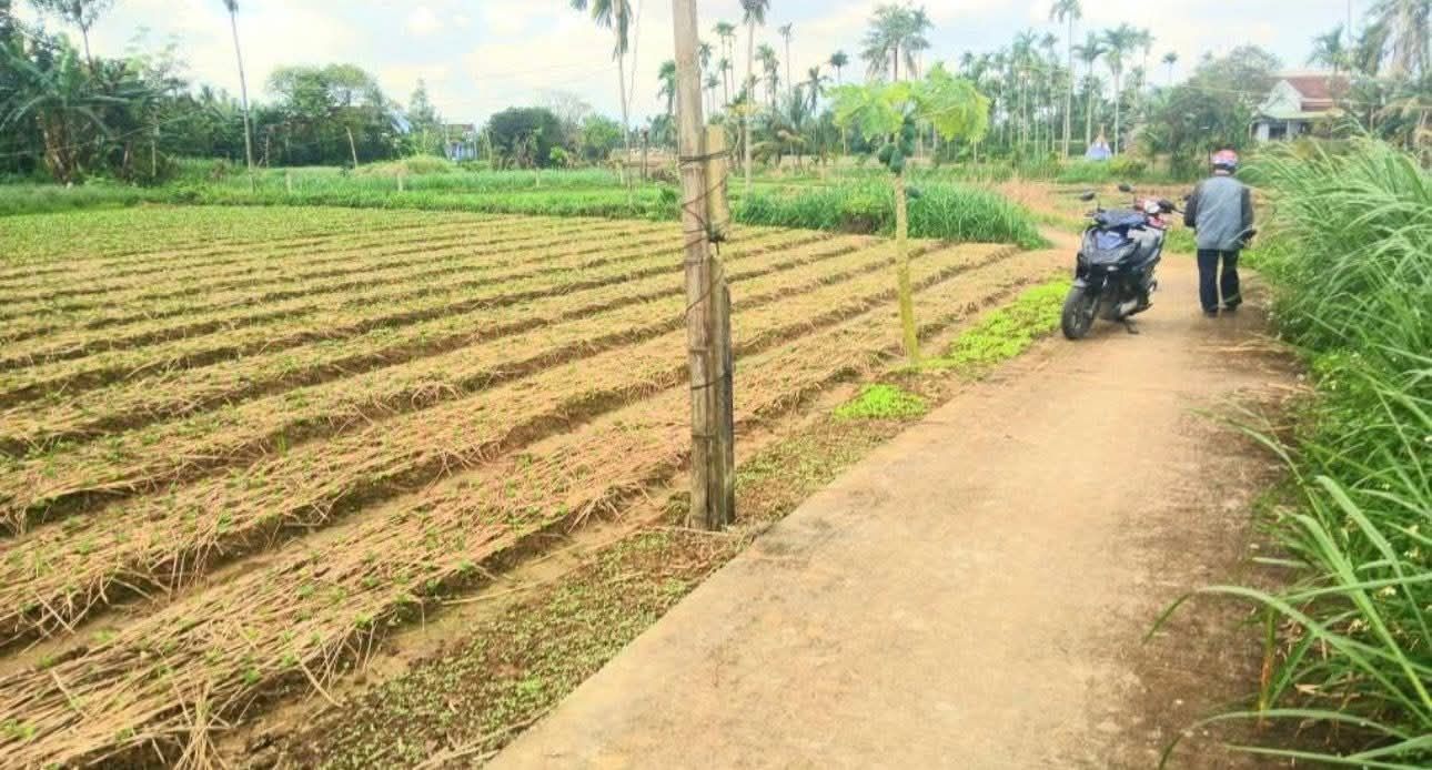 Đất nền Nghĩa Hà, Quảng Ngãi 1100m² - Tiềm năng phát triển mạnh mẽ