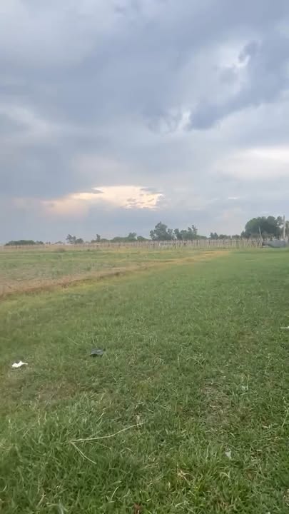 Đất thổ cư xã Mỹ Hạnh Bắc, Đức Hòa, Long An 100m² giá 768 triệu - Cơ hội đầu tư hấp dẫn!