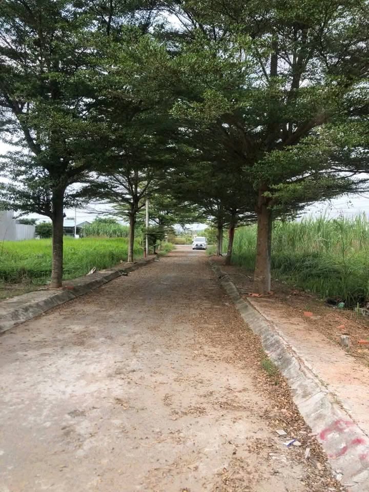 Nhà cấp 4 mới xây tại Mỹ Bình, Tân Trụ 140m² giá 1.35 tỷ - Sổ hồng chính chủ!