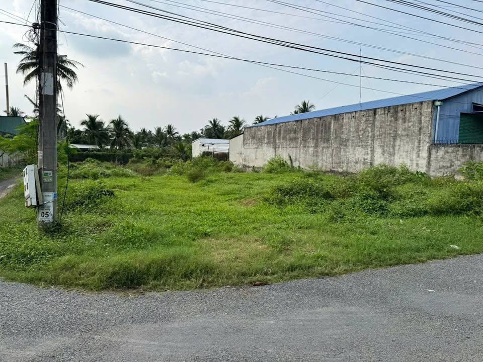 Bán đất mặt tiền đường xóm vựa Long Hưng 1000m² giá 4.5 tỷ - Pháp lý rõ ràng