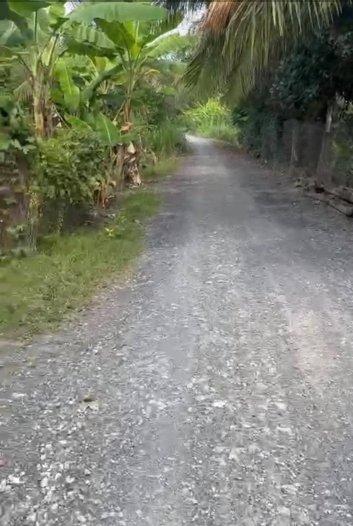 Đất thổ cư 815m² tại Phước Tân, Châu Thành chỉ 170 triệu - Tiềm năng phát triển cao!