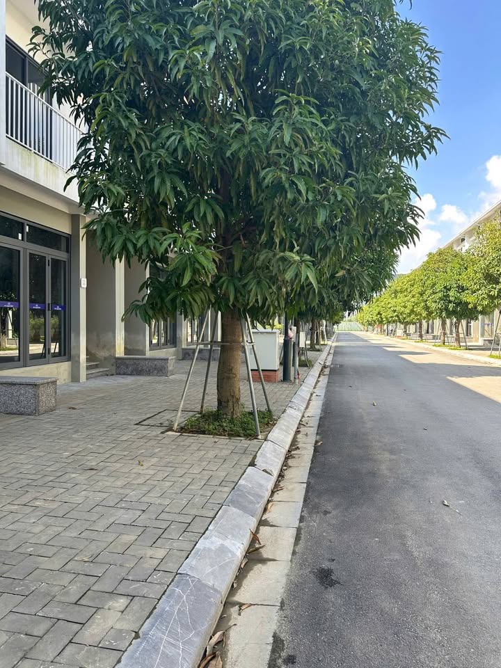 Nhà cho thuê nguyên căn tại Eco Garden Huế - Thích hợp kinh doanh và văn phòng!